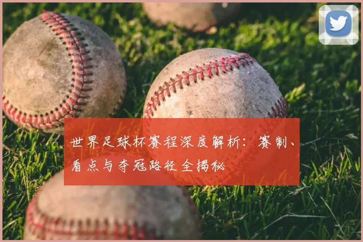 世界足球杯赛程深度解析:赛制、看点与夺冠路径全揭秘