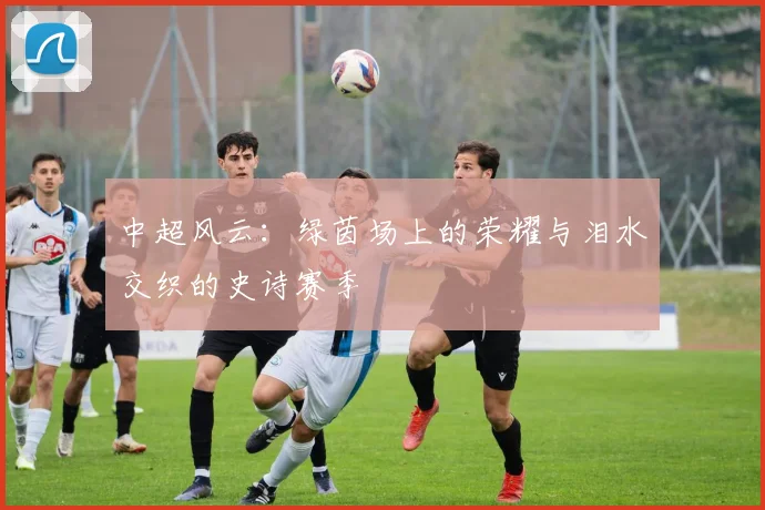 中超风云:绿茵场上的荣耀与泪水交织的史诗赛季